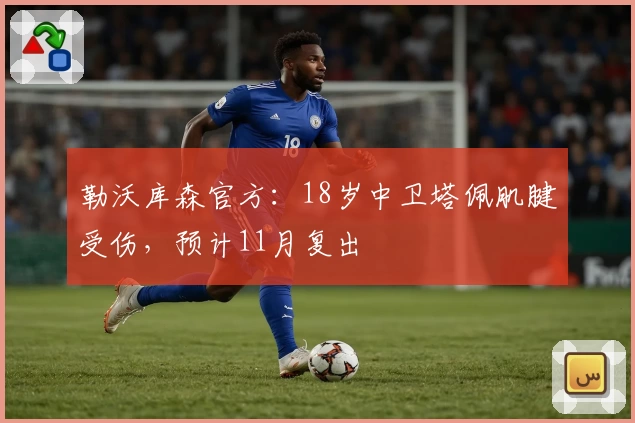 勒沃库森官方：18岁中卫塔佩肌腱受伤，预计11月复出