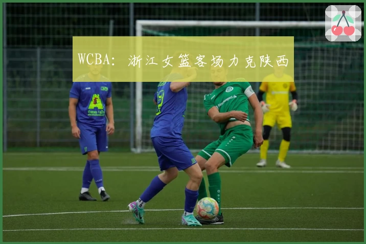 WCBA:浙江女篮客场力克陕西