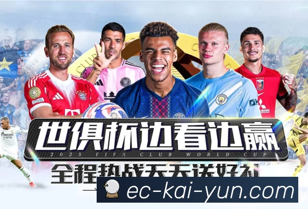 开云平台生态图